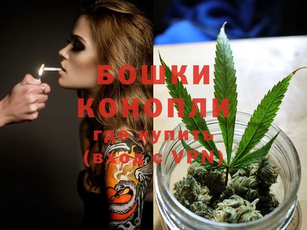 дмт Ельня