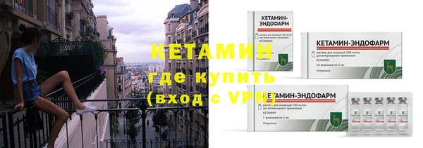 дмт Ельня