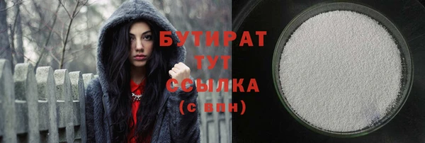дмт Ельня