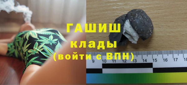 дмт Ельня