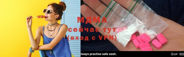 дмт Ельня
