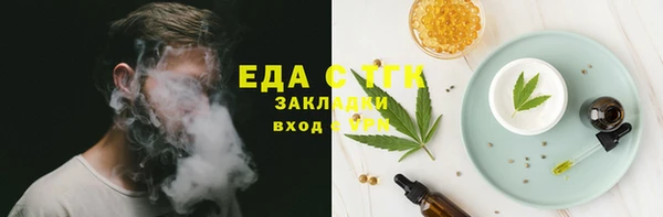 дмт Ельня