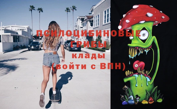 тгк Елабуга