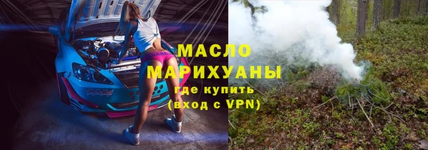 дмт Ельня