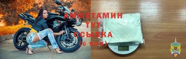 дмт Ельня