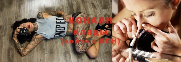дмт Ельня